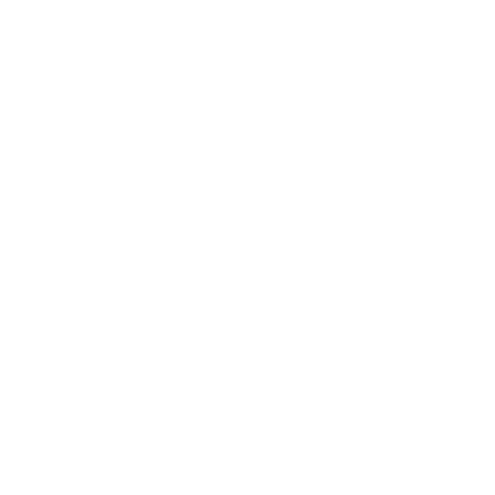 Clean Car Detailing White Logo